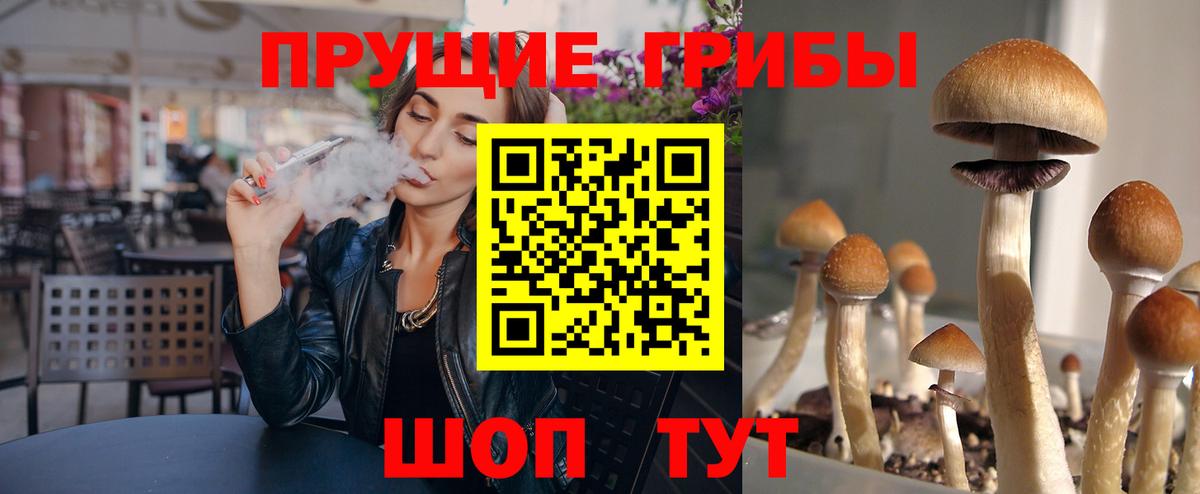 Галлюциногенные грибы MAGIC MUSHROOMS Хасавюрт