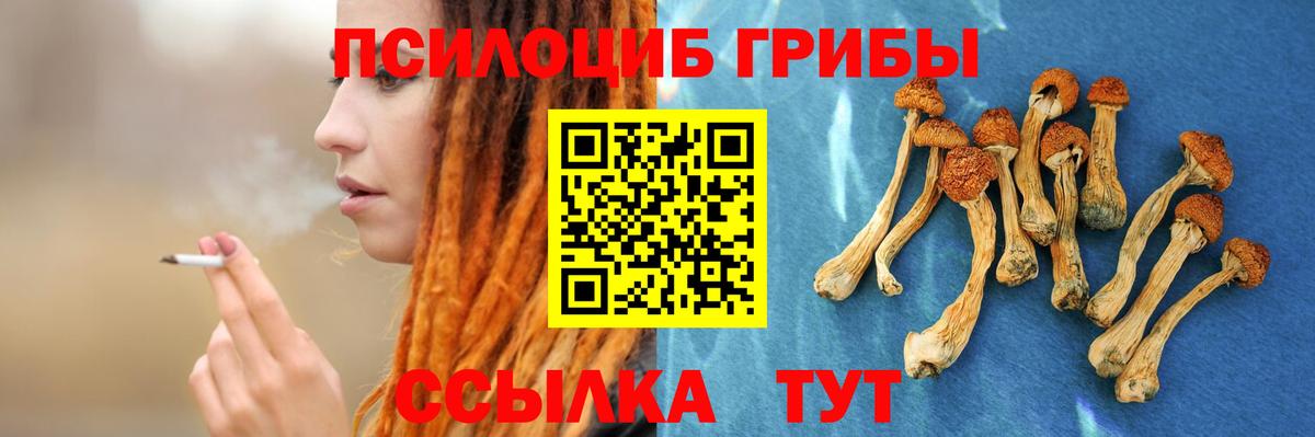 Псилоцибиновые грибы Psilocybe  Вход с VPN  Псилоцибиновые грибы MAGIC MUSHROOMS  Хасавюрт 